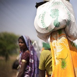 India denies rights to women as peasants / L'Inde nie les droits des agricultrices à posséder leurs terres