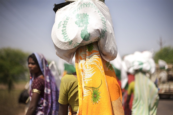 India denies rights to women as peasants / L’Inde nie les droits des agricultrices à posséder leurs terres