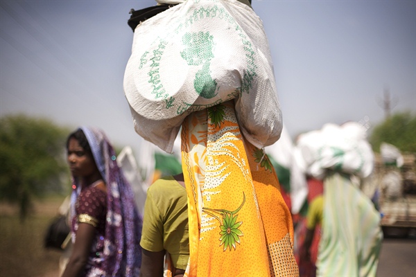India denies rights to women as peasants / L&rsquo;Inde nie les droits des agricultrices à posséder leurs terres