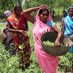 Why 30 women rent two acres of land together