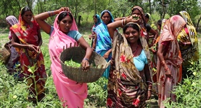 Why 30 women rent two acres of land together