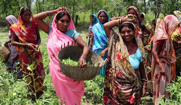 Why 30 women rent two acres of land together